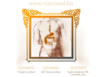 VizerMed